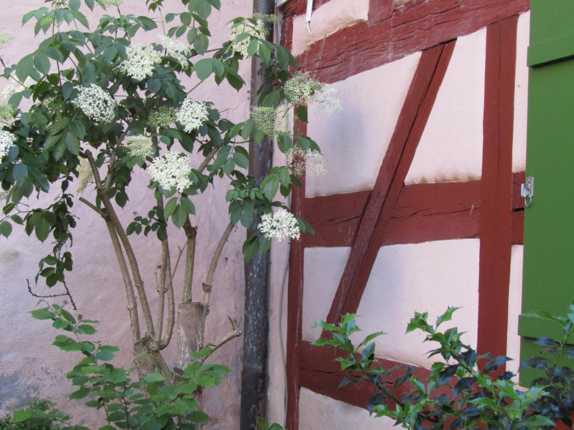 Hotel Und Gasthof Ritter St. Georg Erlangen Eksteriør bilde